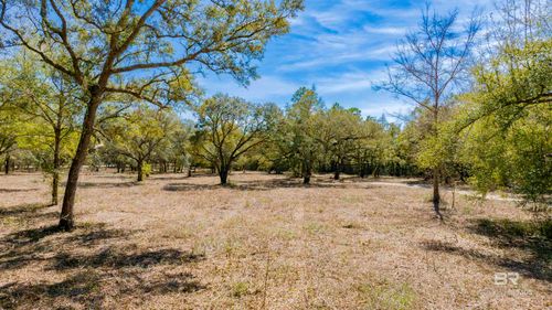 00 County Road 99, Lillian, AL, 36549 | Card Image