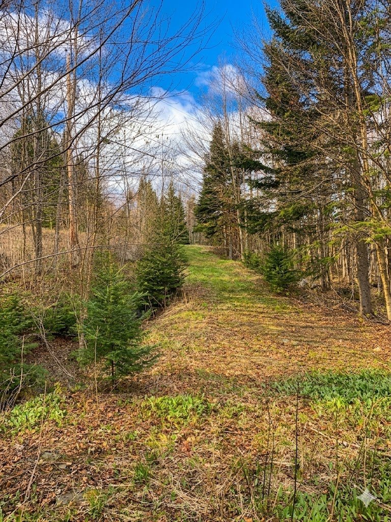 Land in Notre-Dame-des-Bois 2