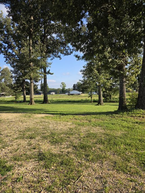 0 Willa Ridge Rd, Clifton, TN, 38425 | Card Image