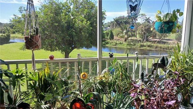 APT-205A - 5683 Rattlesnake Hammock Rd, Condo with 2 bedrooms, 2 bathrooms and null parking in NAPLES FL | Image 19