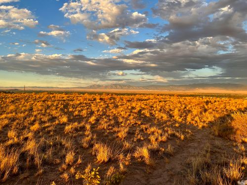 lot-b-46 Encima De Belen, Belen, NM, 87002-8088 | Card Image