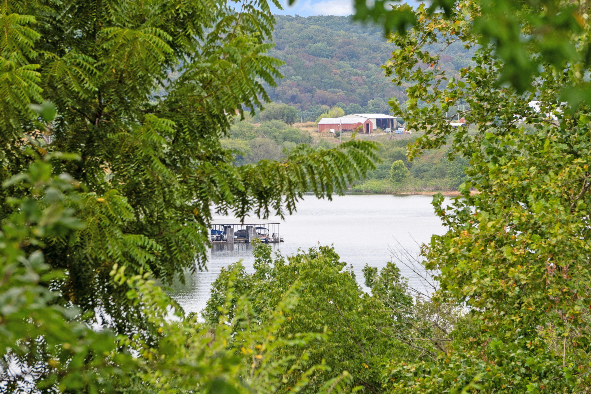 Residential in Cape Fair 4