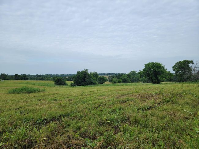 231 Fm 100, Home with 0 bedrooms, 0 bathrooms and null parking in Honey Grove TX | Image 4