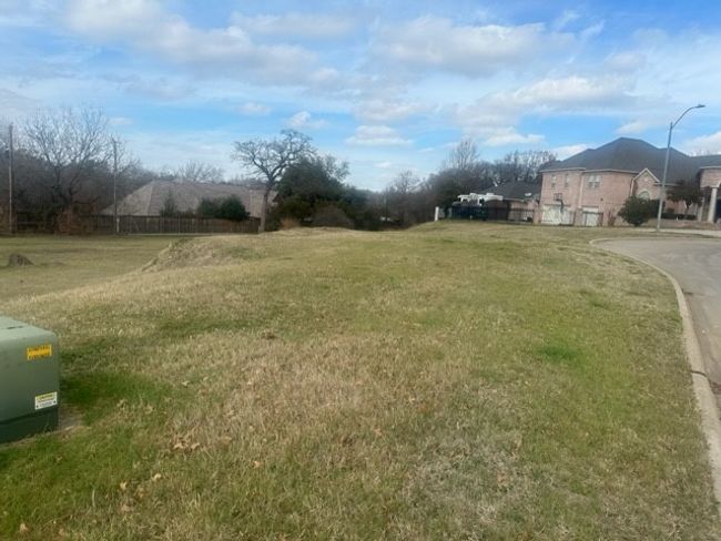 View of yard | Image 4