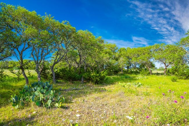 000 S Laird Rd, Home with 0 bedrooms, 0 bathrooms and null parking in Harper TX | Image 15