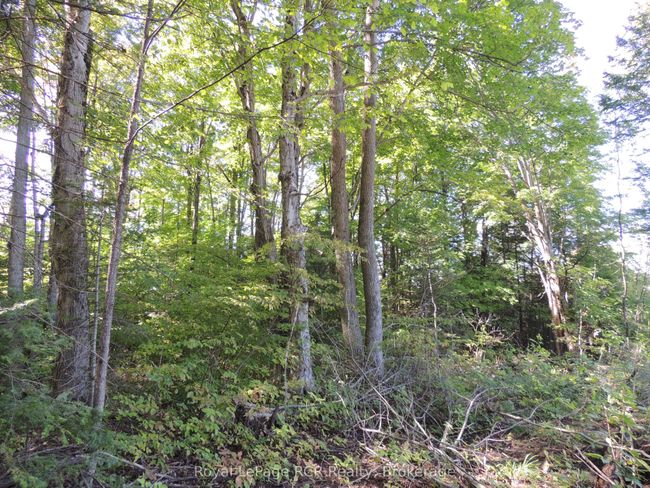 LT 35 Highland Dr, Home with 0 bedrooms, 0 bathrooms and null parking in Markdale ON | Image 10