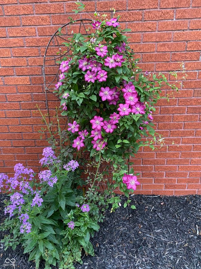 details with brick siding | Image 42