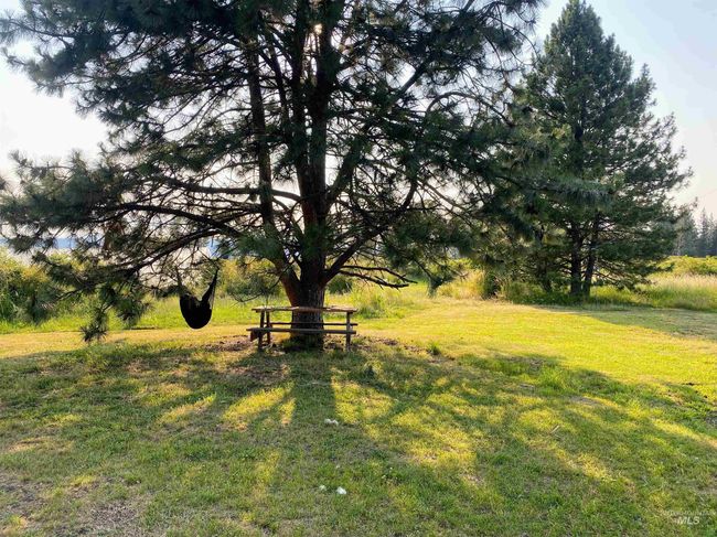 View of green lawn | Image 23