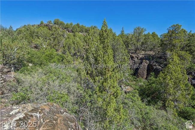 View of woods | Image 13