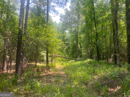 0 Branan Rd, Toomsboro, GA, 31090 | Card Image