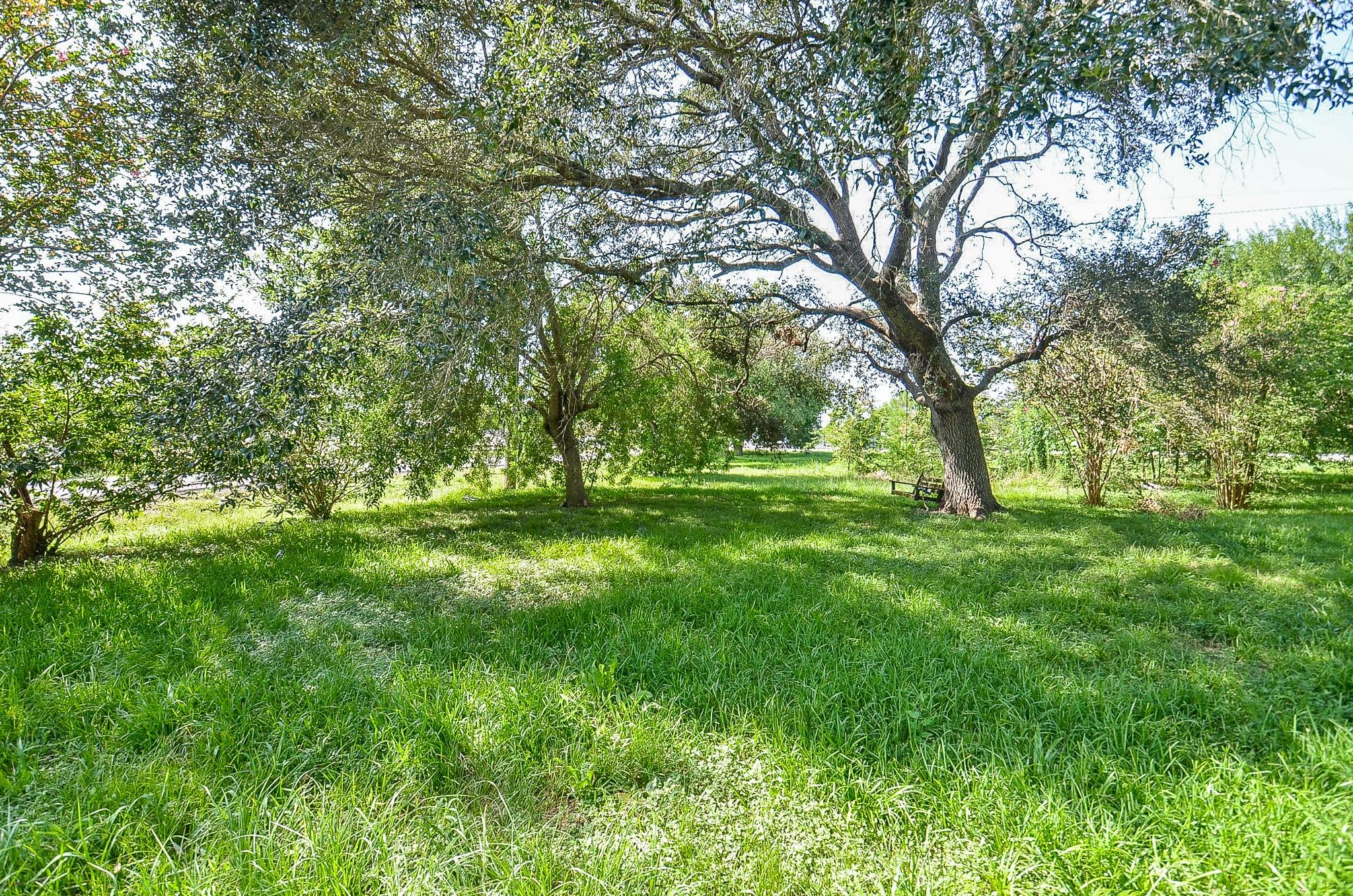 Land in Fresno 3
