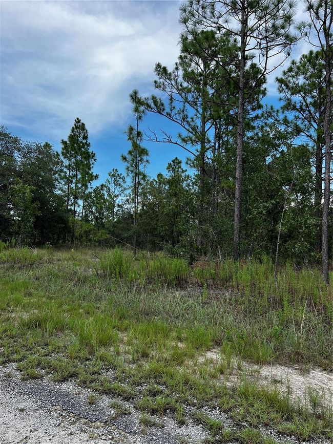 00 Se 131 Terrace, Home with 0 bedrooms, 0 bathrooms and null parking in Dunnellon FL | Image 2