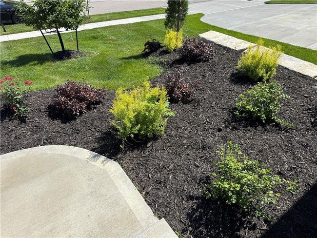 View of grassy yard | Image 64