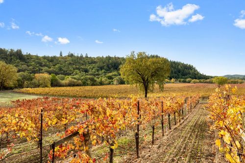 6750 River Rd, Forestville, CA, 95436 | Card Image