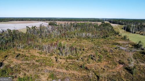 0 Bird Flanders Rd, swainsboro, GA, 30401 | Card Image