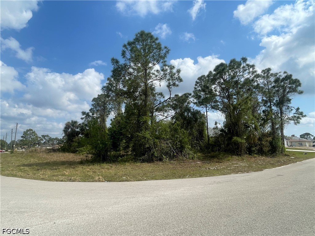 Land in Lehigh Acres 4