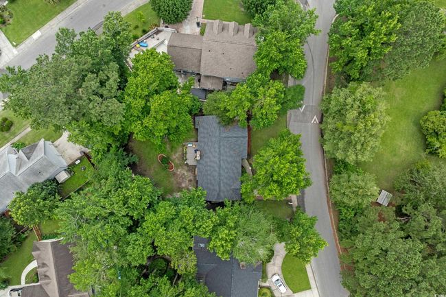Bird's eye view | Image 27