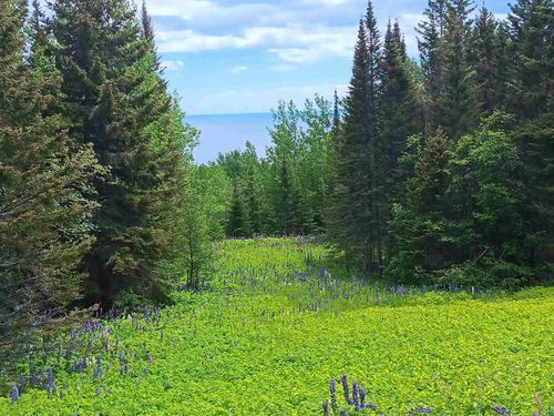 871 Gunflint Trl, Grand Marais, MN, 55604-9706 | Card Image