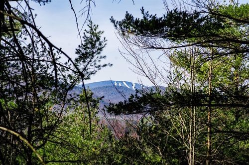 36 Fawn Ridge Road, Chester, NY, 12817 | Card Image