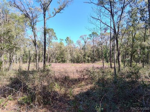 3491 E Stage Coach Trl, Inverness, FL, 34452-9234 | Card Image