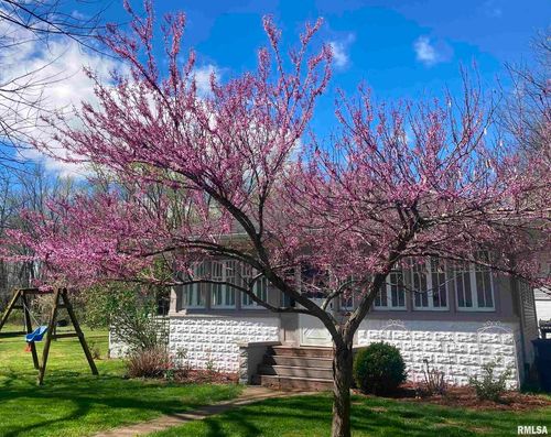 439 N Howard St, Du Quoin, IL, 62832-1066 | Card Image