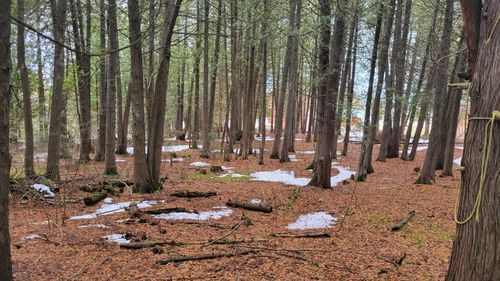 0 Democrat Rd, De Tour Village, MI, 49725 | Card Image