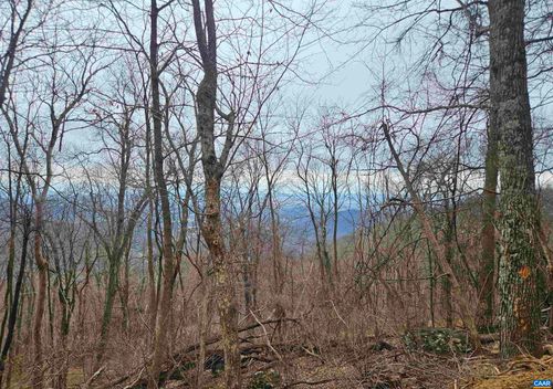 TBD Lot 17 & 18 Spring Branch Ln, FREE UNION, VA, 22940 | Card Image