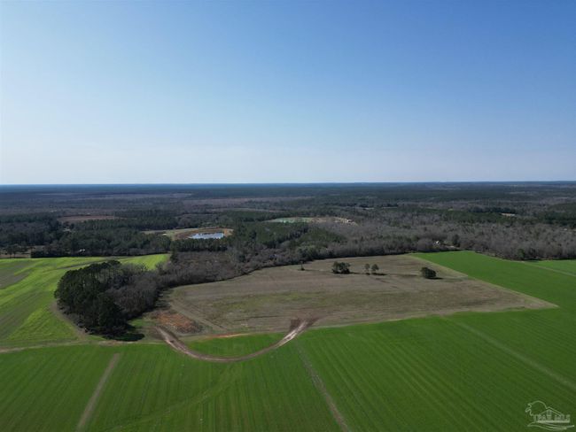 5400 Rockaway Creek Rd, Home with 0 bedrooms, 0 bathrooms and null parking in McDavid FL | Image 11