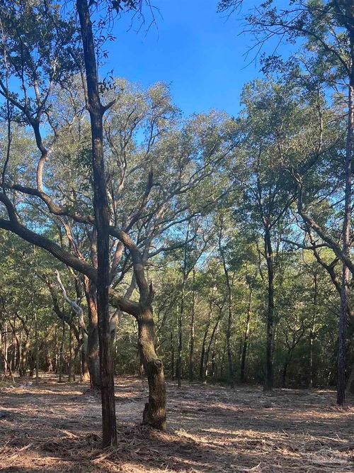 9499 Cornfield Way, Milton, FL, 32583-9404 | Card Image