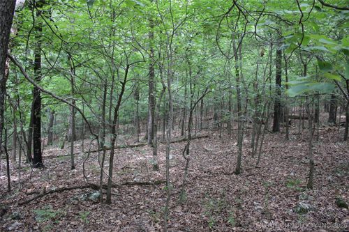 54580 E 355 Rd, Jay, OK, 74346-6561 | Card Image