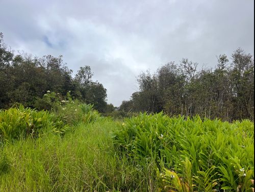 18-2017 Pua St, MOUNTAIN VIEW, HI, 96771 | Card Image