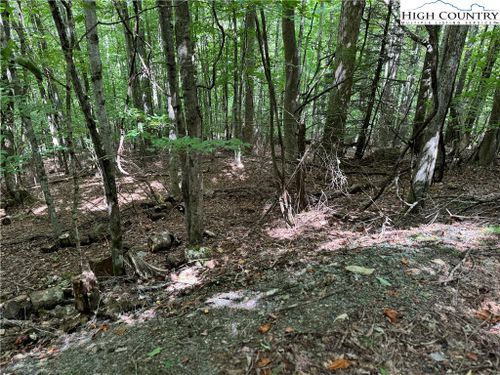 113 Arrowhead Rd, Beech Mountain, NC, 28604-8001 | Card Image