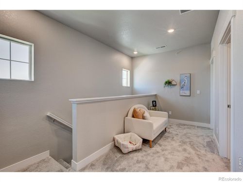 6776 Maple Leaf Drive, Timnath, CO, 80547 | Card Image