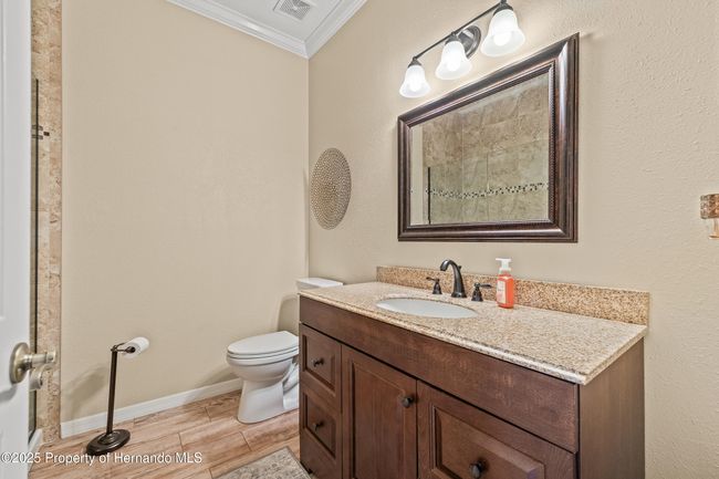 4210 Silver Berry Ct, House other with 3 bedrooms, 2 bathrooms and null parking in SPRING HILL FL | Image 29
