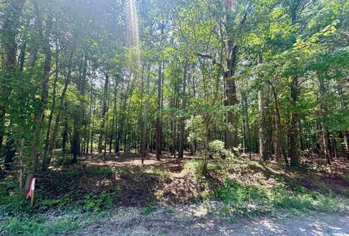 24-29-31-24 County Road 1011, Centre, AL, 35960 | Card Image