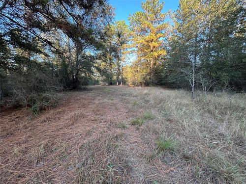 700 Pr 8160, Lovelady, TX, 75851 | Card Image