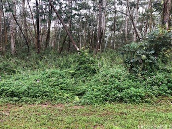 00 Pikake Rd, Home with 0 bedrooms, 0 bathrooms and null parking in Pahoa HI | Image 5