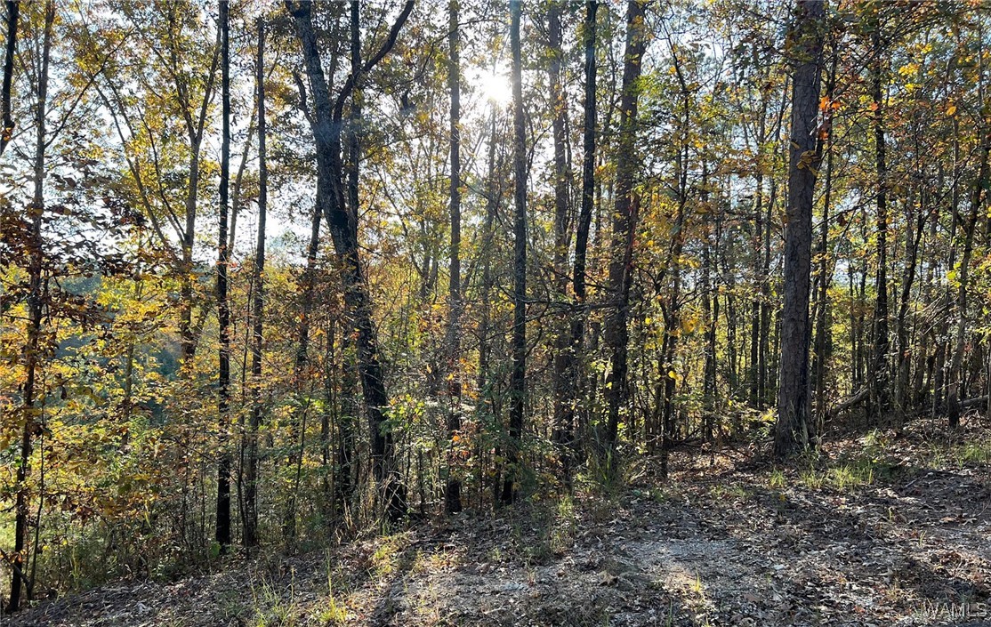 Land in McCalla