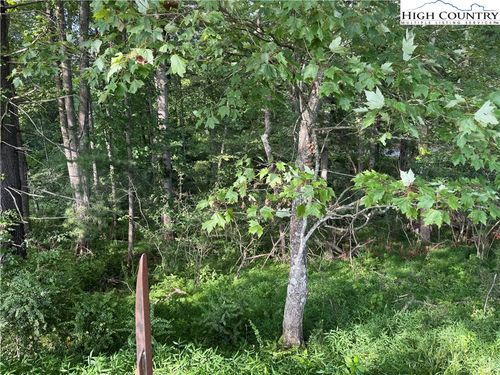 LOT 605 Mtn Dew Drive, West Jefferson, NC, 28694 | Card Image