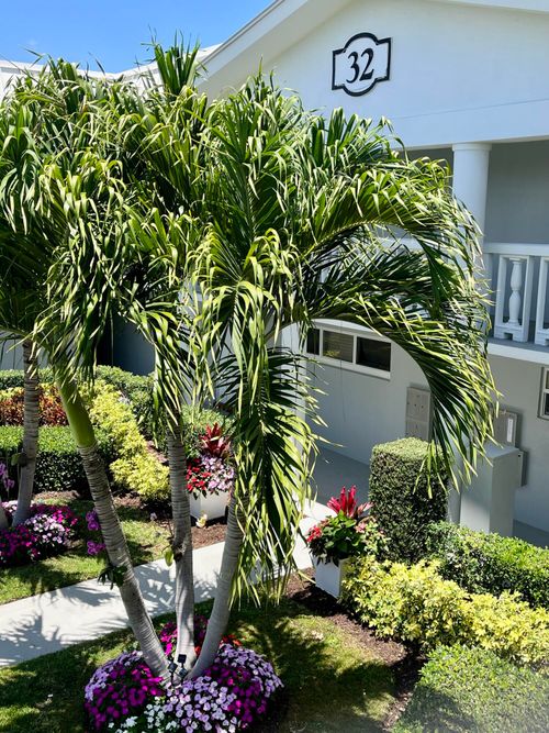 203-32 Colonial Club Dr, Boynton Beach, FL, 33435-8407 | Card Image