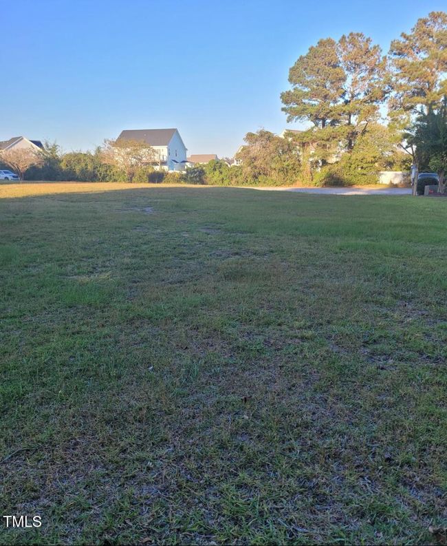 Lot_Grass | Image 21