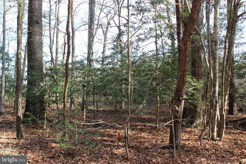 151 Shanghai Rd, GREENBACKVILLE, VA, 23356 | Card Image