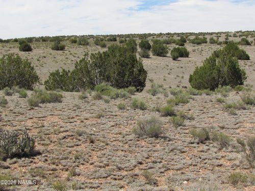 10197 W High Butte Dr, Williams, AZ, 86046 | Card Image