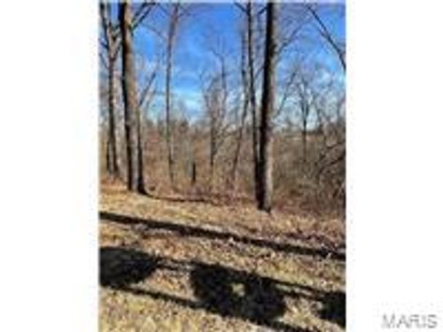 0 Highway 79, Louisiana, MO, 63353 | Card Image