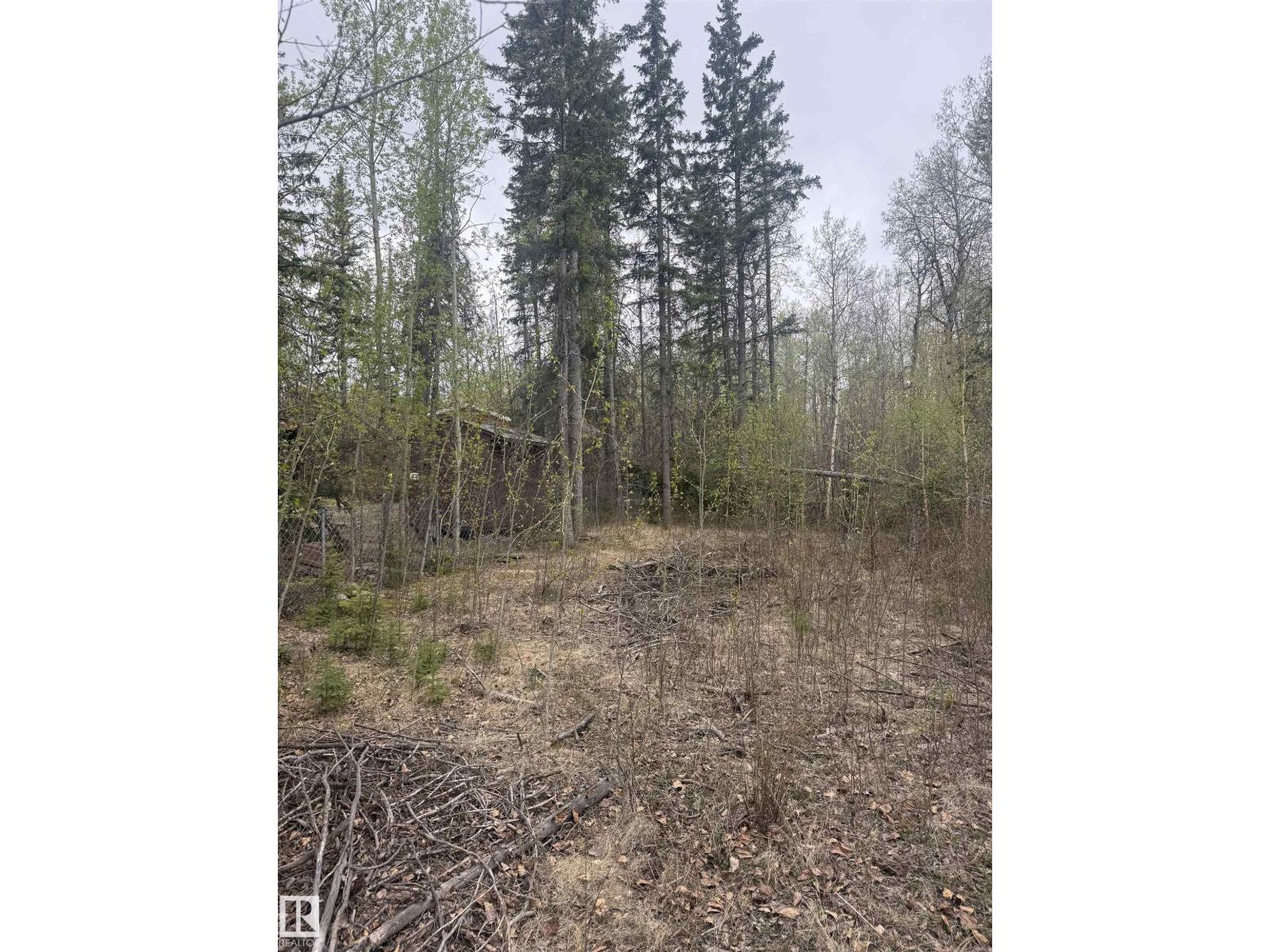 Land in Rural Lac Ste. Anne County 3