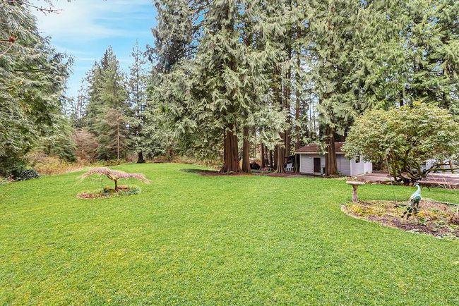 View of yard | Image 23