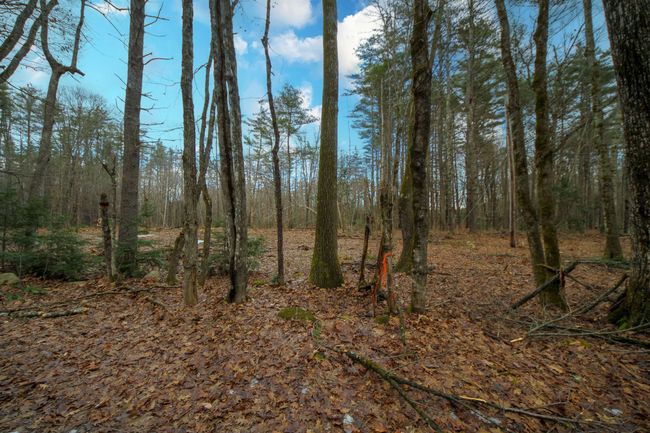 R3-45 - 41 Foss Flats Road, Home with 0 bedrooms, 0 bathrooms and null parking in Sandwich NH | Image 8