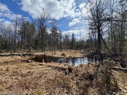 4233 Hardacre Trl, Houghton Lake, MI, 48629-7506 | Card Image