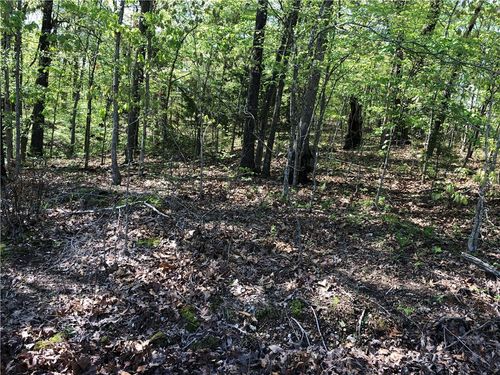Lot 10 Grampian Ln, Bella Vista, AR, 72715-5543 | Card Image