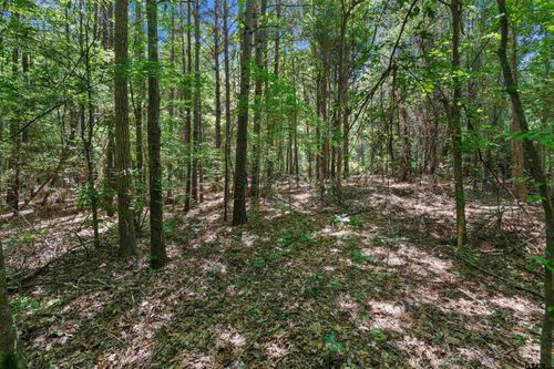 TBD County Road 3361, De Berry, TX, 75639 | Card Image